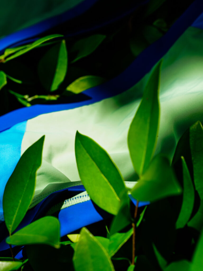 Close-up of the matcha green, sky blue and royal blue Zeta fabric among green leaves